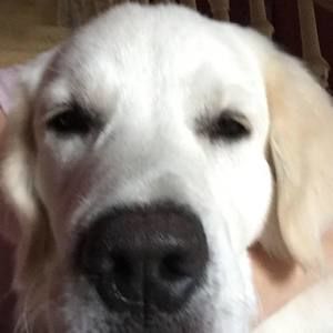 Meet your Posher, Jan